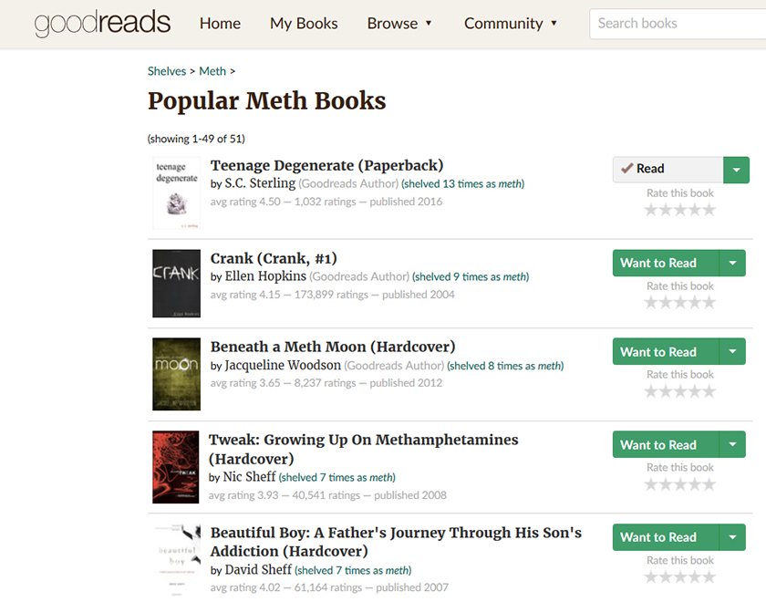 Popular Meth and Addiction Books